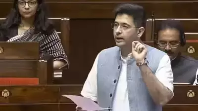 Raghav Chadha's 'Recently Removed' Remark Sparks AAP Unity Debate in Rajya Sabha