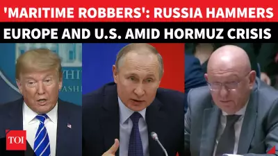 Russia Slams West as 'Pirates' at UN Over Iran Hormuz Blockade