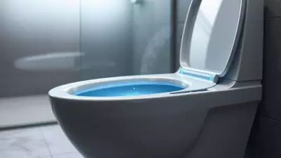 Self-Cleaning Toilets: A Modern Solution to Bathroom Chores and Maintenance