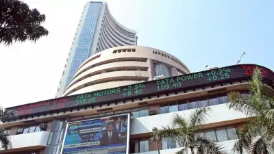 Sensex and Nifty Rally on IT Stocks, Global Cues After Volatile Session