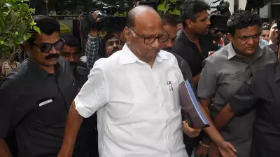 Sharad Pawar Clarifies No New Merger Talks Between NCP Factions