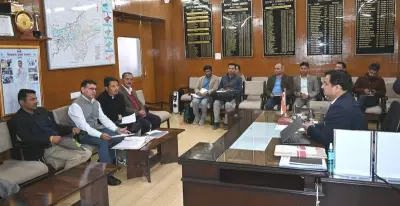 Shimla's Mehli Panchayat Awarded Rs 1 Crore to Become Model Solar Village