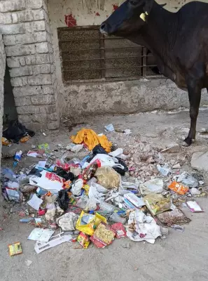 Sirsa Municipal Corporation Issues Notice to Private Agency for Poor Sanitation