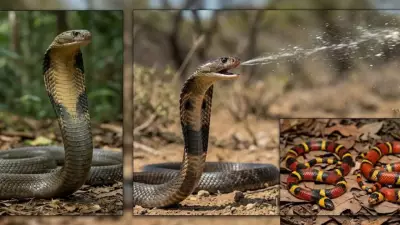 Snakes' Incredible Survival Tactics: From Mimicry to Playing Dead