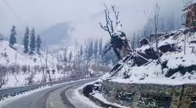 Snow and Rain Lower Temperatures in Kashmir, Key Roads Shut