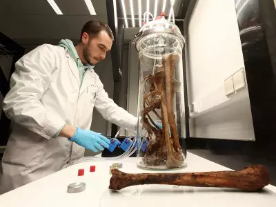 Study Reveals How Bread Consumption Can Lead to Weight Gain Without Extra Calories