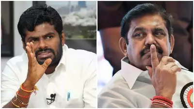 Tamil Nadu 2026: NDA Unites as DMK Faces Alliance Discord