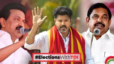 Tamil Nadu Exit Polls: TVK Gets 100+ Seats in One Poll, DMK Favored in Others