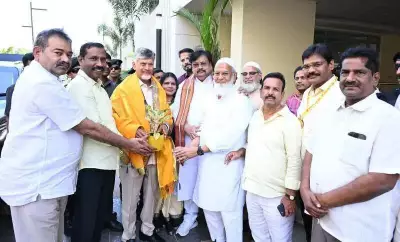 TDP Celebrates Amaravati Bill Passage with Naidu's Grand Party Office Welcome