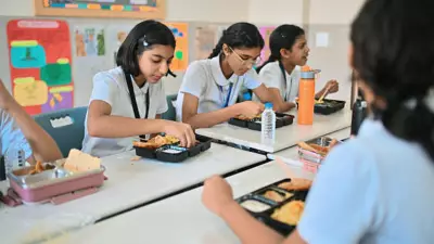 Teachers Reveal: The Lunchbox's Hidden Impact on Classroom Behavior and Focus