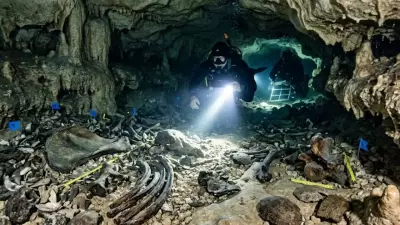 Texas Cave Discovery Reveals Ancient Warm Climate Through Rare Megafauna Fossils