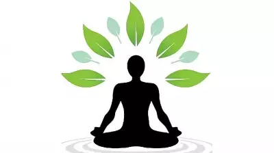 The Psychological Struggle of Offering Genuine Apologies in Modern Life