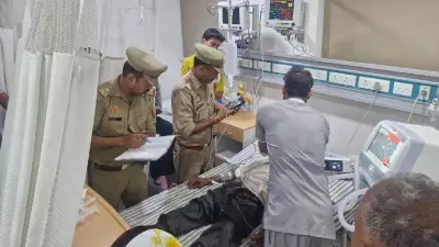 Three Dead in Meerut After Drinking Spurious Liquor, Police Probe Launched