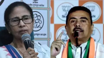 TMC's Fort or BJP's Breakthrough: 7 Districts to Decide Bengal's Fate