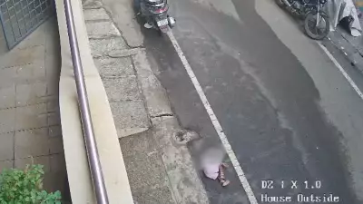 Toddler's Terrifying Fall in Bengaluru Highlights Home Safety Concerns
