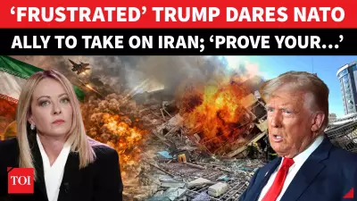 Trump Blasts Meloni Over Iran War Stance, Criticizes NATO Allies and Pope