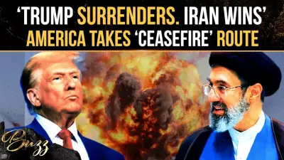 Trump Halts Iran Strikes After Ceasefire Deal, Faces Backlash