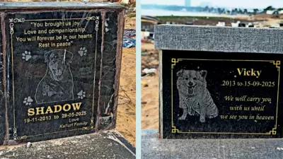 Vizag's Beach Pet Memorials: A Testament to Timeless Human-Animal Bonds
