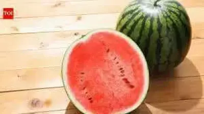Watermelon Safe Despite Bhendi Bazaar Deaths, Say Doctors