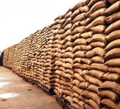 Wheat Arrival Gains Momentum in Yamunanagar District, Haryana