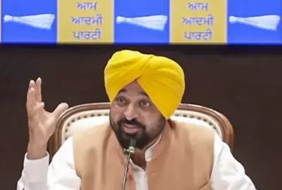 When They Found Nothing Against Bhagwant Mann, They Tried to Break AAP: Punjab CM