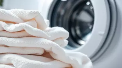 Why Your Clean Towels Smell Bad: The Hidden Bacterial Battle in Your Washing Machine
