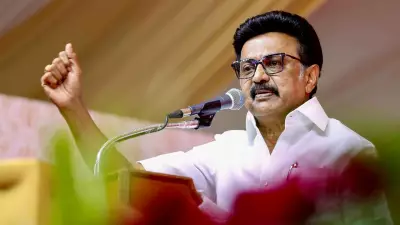 Will MK Stalin Retain Kolathur Seat in 2026? AIADMK, TVK Challenge