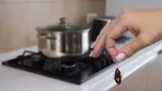 10 Natural Home Remedies to Eliminate Cockroaches Fast Without Chemicals
