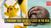 5 Real-World Animals That Inspired Iconic Pokémon Designs