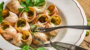 7 Delicious Snail Dishes You Must Try: From French Classics to Global Flavors