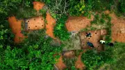 Amazon Roadwork Reveals Ancient Societies and Artifacts in Brazil