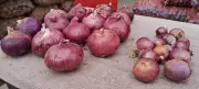 Amritsar Onion Export Crisis: Shipping Disruption & Freight Surge Cripples Trade