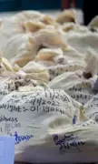 Amritsar Police Bust Major Cross-Border Drug Ring, Seize 64.62 Kg Heroin