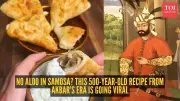 Ancient Samosa Recipe Reveals 500-Year-Old Royal Origins, No Potatoes or Chillies