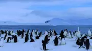 Antarctica: The Only Continent Without Permanent Human Residents