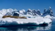 Antarctica's Ice Sheet May Have Crossed Irreversible Tipping Point