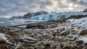 Arctic Glacier Retreat Exposes Ancient Whale Graveyard on Remote Russian Island
