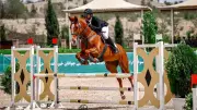 Army's Control Over Equestrian Federation Ends as IOA Forms Ad-Hoc Committee