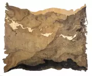 Artists Across India Create Ram-Themed Canvases for Ayodhya Temple