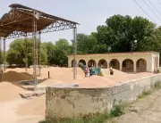 Bathinda Farmers Use Cremation Ground as Grain Yard Amid Mandi Overflow