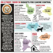 Bengaluru Stray Dog Survey Data Incomplete, Shelter Plans Underway