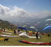 Bir Billing Sees Surge with 300 Paragliding Flights in a Day
