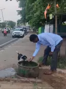 BMC deploys water tankers for stray animals amid heatwave