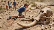 Boy's Fall in New Mexico Leads to Discovery of Million-Year-Old Stegomastodon Skull