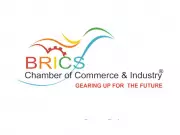 BRICS Chamber of Commerce Announces Governing Body Elections for 2026-2029 Term