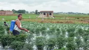 Cabinet Approves Rs 41,534 Crore Fertiliser Subsidy for Kharif 2026 Season