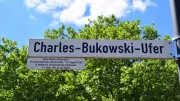 Charles Bukowski's Morning Quote: A Raw Reflection on Daily Struggle