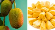 Chef Kunal Kapur's Expert Guide to Cutting Kathal (Jackfruit) Easily