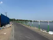 Chennai's Nanmangalam Lake Suffers Severe Pollution and Neglect