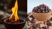 Cloves in Diya: Ancient Ritual for Luck, Protection and Air Purification